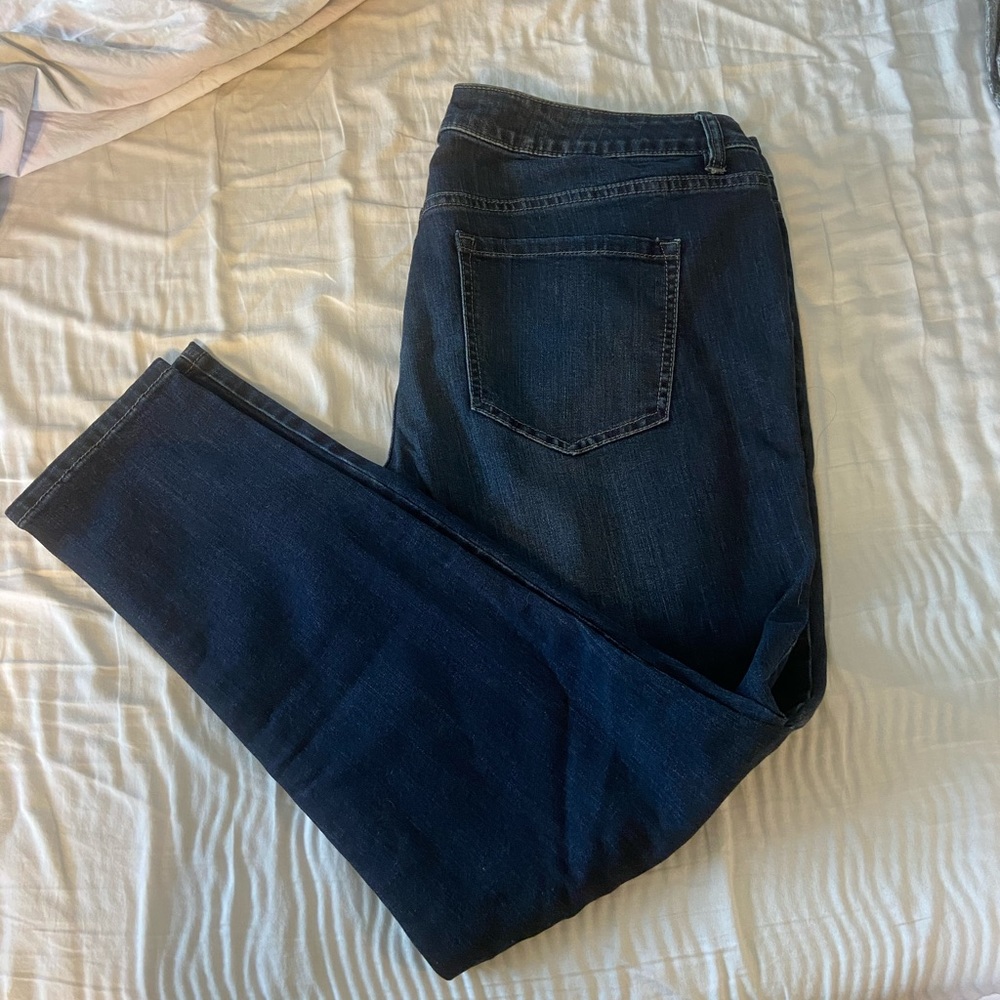 Lane Bryant Skinny Jeans
